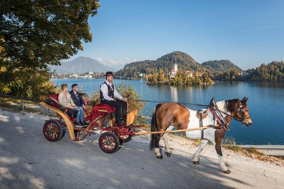 Tourist House Capricorn Apartamento Bled Exterior foto
